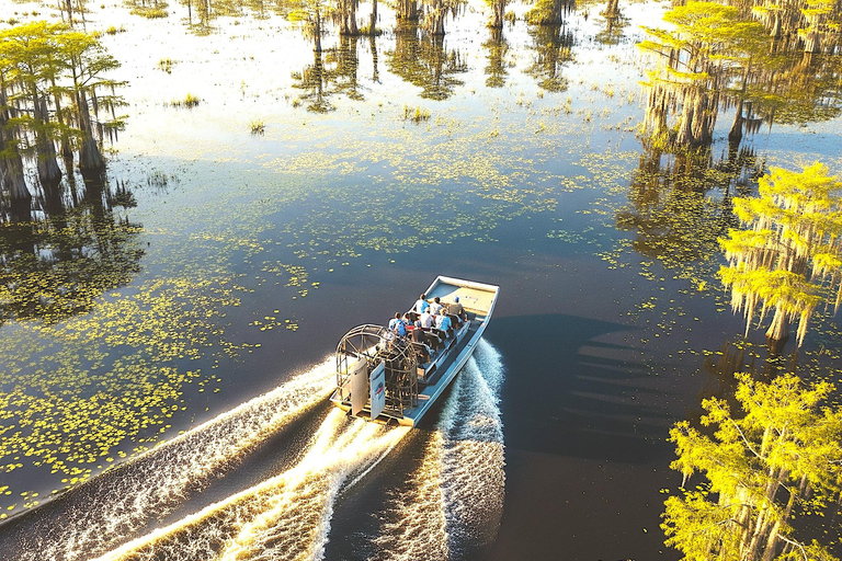 Miami: Everglades Airboat, Photo & Gator Experience From Miami: Everglades Airboat Tour with a Guide