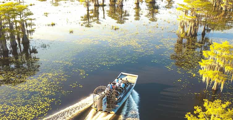 From Miami: Everglades Airboat Gator Spotting Tour photo 8