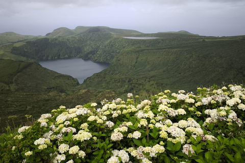 Flores Island Full-Day Tour