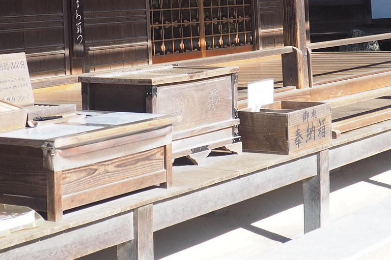 E-Bike Tour in Kyoto with Asuka, Japanese graduate student