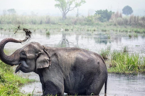 From Kathmandu: 4-Day Chitwan National Park Tour