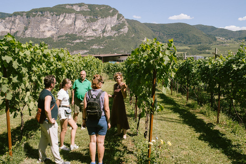 Mezzocorona: Teroldego Vineyard Tour and Wine Tasting Italian