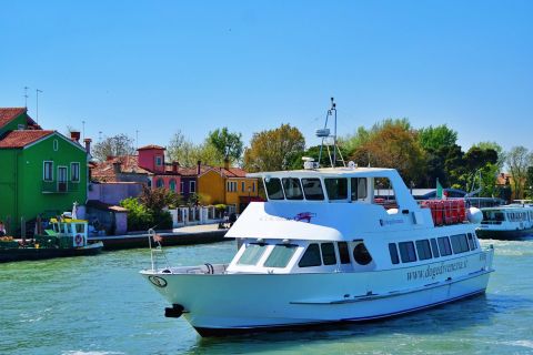 Venice: Murano and Burano Boat Tour with Glass Factory Visit
