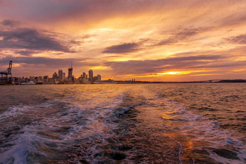Auckland Harbour Dinner Cruise with Buffet Dinner