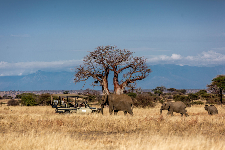 2 Days Tarangire & Ngorongoro Crater flying from Zanzibar