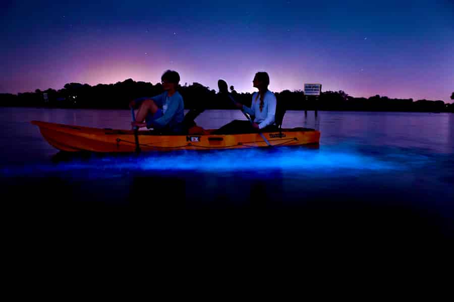 Merritt Island: Kleingruppen-Tour mit transparentem Kajak und Biolumineszenz. Foto: GetYourGuide Merritt Island: Kleingruppen-Tour mit transparentem Kajak und Biolumineszenz. Foto: GetYourGuide