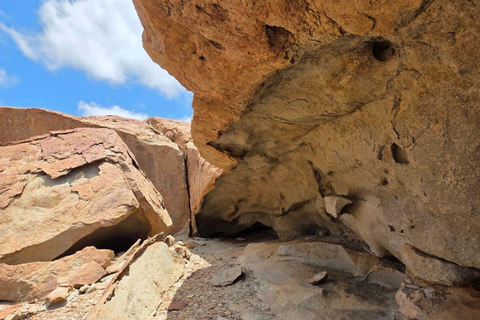 Cape Cross, Seals and River Desert Nature Tour [New Route]