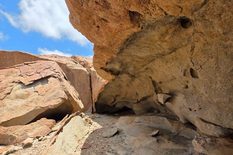 Cape Cross, Seals and River Desert Nature Tour [New Route]