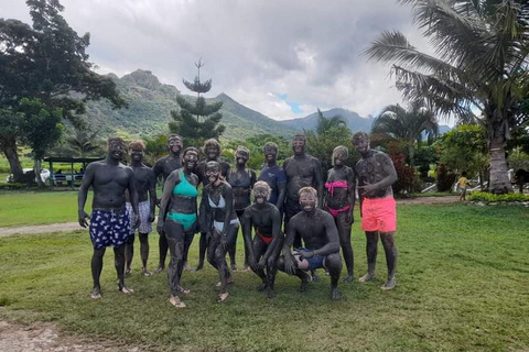 Ogród Śpiącego Olbrzyma z wycieczką do gorących źródeł Tifajek MudpoolHotele w Nadi / Port Denarau / Double Tree / Odbiór z Vuda