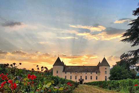 Visita os museus do Castelo de Savigny: aviões, carros, motas...