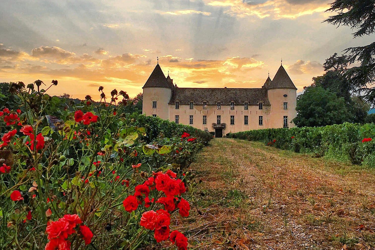 Visita os museus do Castelo de Savigny: aviões, carros, motas...