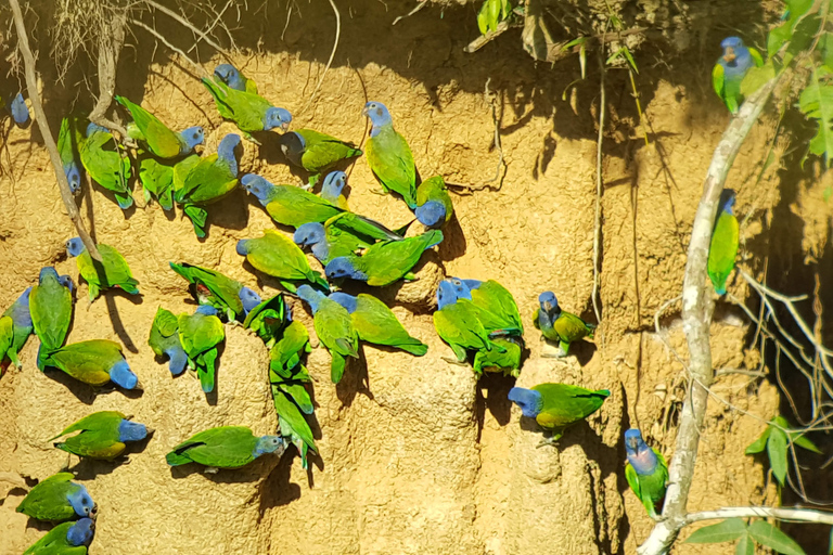 VIAJE A LA SELVA DEL PARQUE MANU 3D/2N