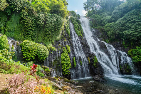 Bali: Tour particular de um dia na Ilha do Norte com a Cachoeira BanyumalaTour sem taxas de entrada