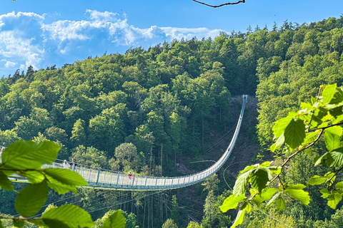 (Copie de) Rotenburg an der Fulda : bain de forêt avec un guide certifiéRotenburg an der Fulda : une expérience de marche sur une passerelle suspendue pour les personnes craigna