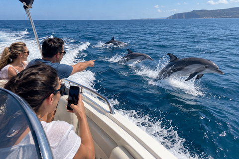 Mauritius: Dolphin Swim, Lunch & South Island Discovery Tour