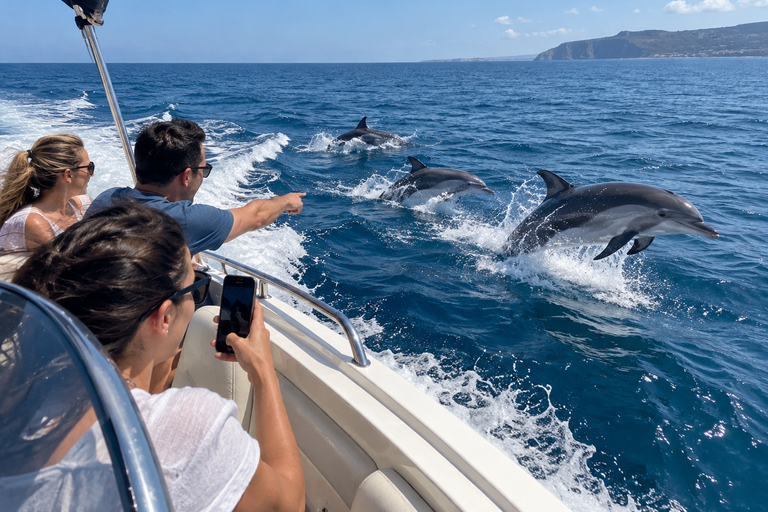 Mauritius: Dolphin Swim, Lunch & South Island Discovery Tour