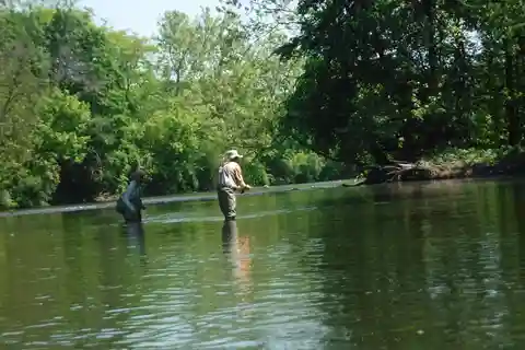 Fly Fishing 101 Lessons