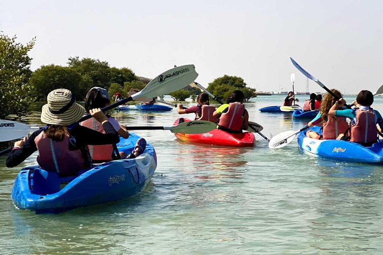 Al Khor: Kajakpaddling i mangroveskogen