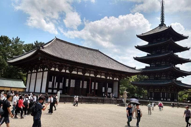 奈良公园：隐秘小径与鹿群导览之旅（含接送服务）