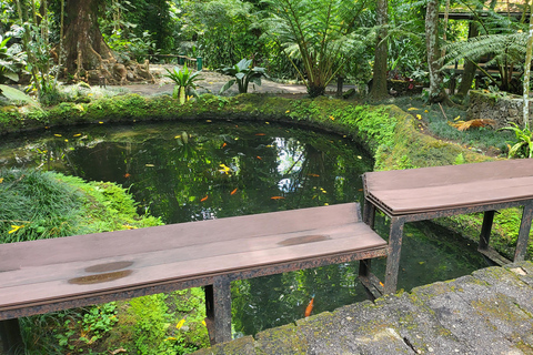 Hidden Valley Springs | Lunch | Taal Volcano Viewing (2in1)