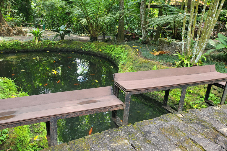 Hidden Valley Springs | Lunch | Taal Volcano Viewing (2in1)