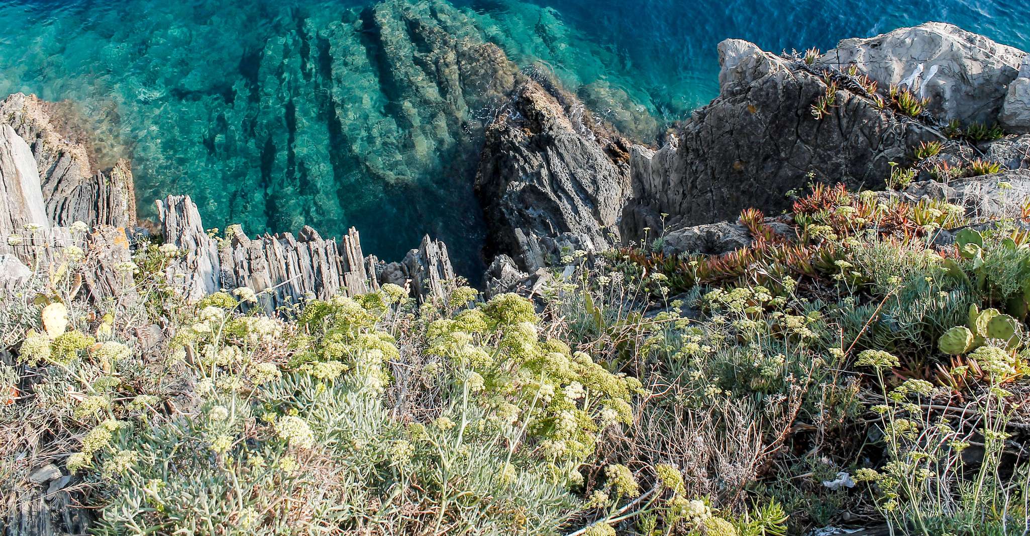 From La Spezia, Cinque Terre Boat Tour - Housity