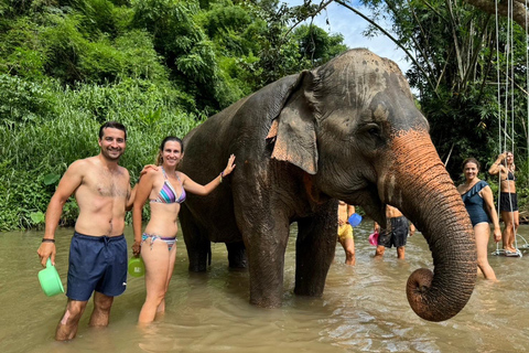 Chiang Mai: Elefantreservat, munkspår och Doi Suthep-turUpphämtning från hotell i Chiang Mai Center