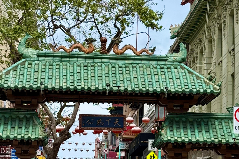 De San Francisco Tour Co. Luxe Eco Stadsrondleiding