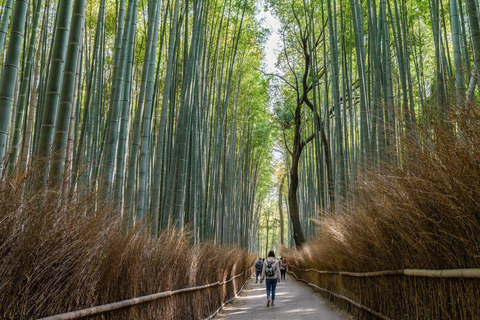Ukyo: Arashiyama Bamboo Forest, Tenryu-ji, Monkey Park Tour