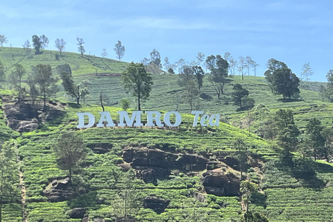Trasporto da Kandy a Nuwara Eliya con Janaka