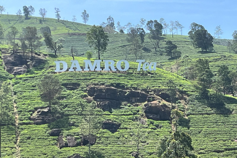 Trasporto da Kandy a Nuwara Eliya con Janaka