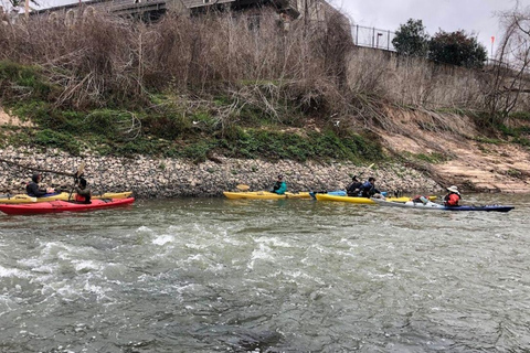 Full-Day Buffalo Bayou Kayaking Tour