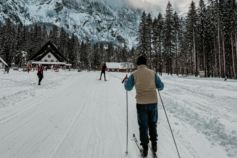 Slovenia: Nordic Backcountry Skiing Adventure Pokljuka: Zajavornik Alpine Meadow
