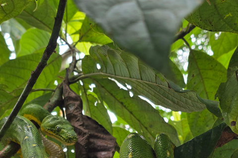 Cusco: Amazon Tour Manu Reserved Zone 7 days Bus/Bus