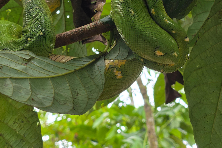 Cusco: Amazon Tour Manu Reserved Zone 7 days Bus/Bus