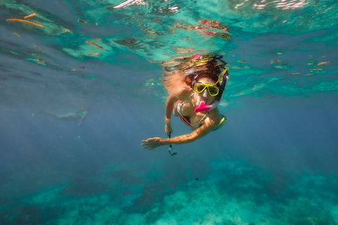 Desde Cancún o Riviera Maya: Viaje a Isla Contoy e Isla MujeresExcursión desde Playa del Carmen y Puerto Morelos