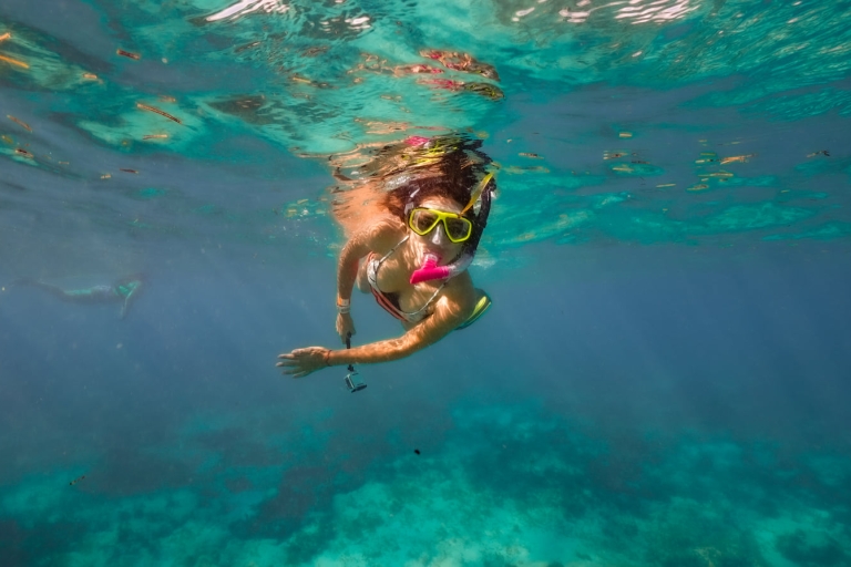 Desde Cancún o Riviera Maya: Viaje a Isla Contoy e Isla MujeresExcursión desde Playa del Carmen y Puerto Morelos