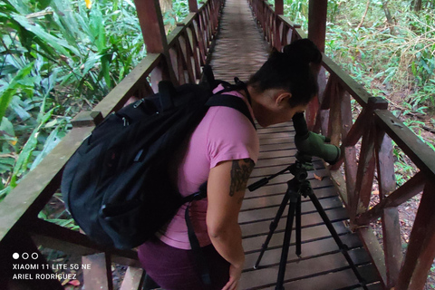 Puerto Viejo: Tour nocturno por la selva salvaje