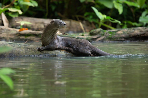 3-hour experience through the channels of the National Park.