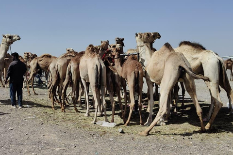 Muscat: Visit Sinaw Market, Izki Village, & Jarnan Cave Tour