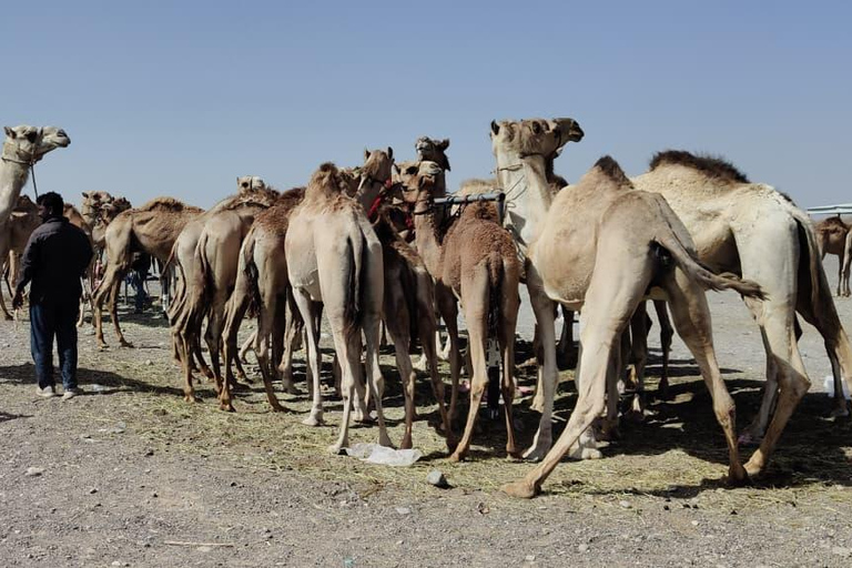 Muscat: Visit Sinaw Market, Izki Village, & Jarnan Cave Tour