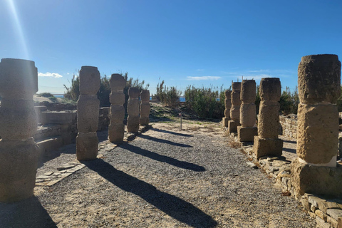 Tarifa: Baelo Claudia Guided Tour & Roman Dinning Experience