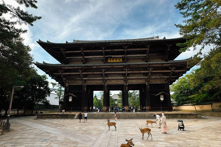 Kyoto & Nara: Private Cultural Journey with Guide & Pickup