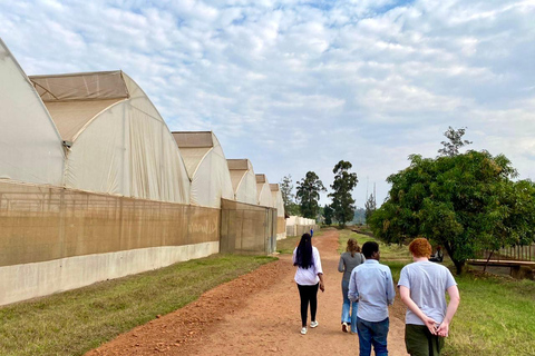 Kigali: City Tour with a local guide and driver