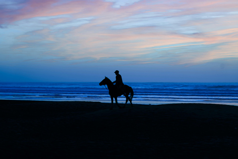Barbados: Nighttime Full Moon Horseback Riding Tour
