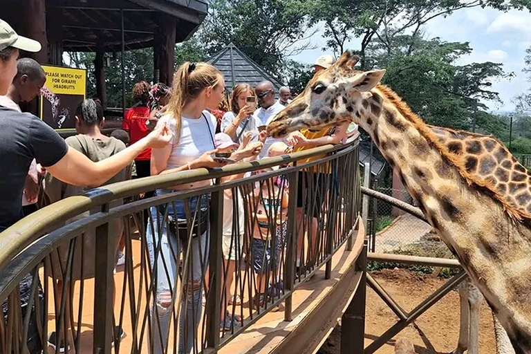 Nairobi: Tour guidato del Centro Giraffe.Tour del Centro Giraffe.