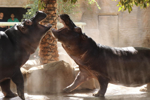 Abu Dhabi : Zoo du parc des Émirats