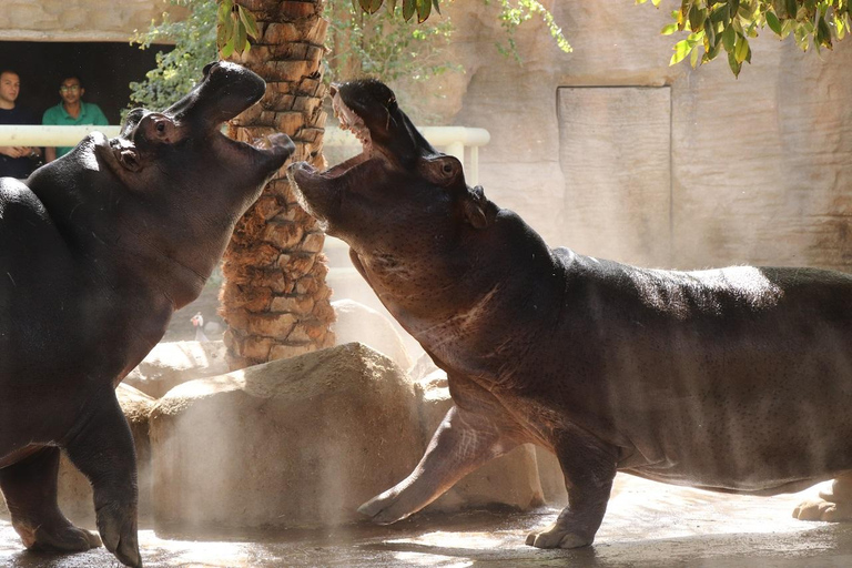 Abu Dhabi: Zoológico do Emirates Park