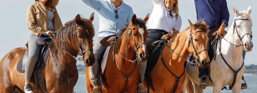 Randonnée à cheval sur la plage en GROUPE + Reportage photo - PDT
