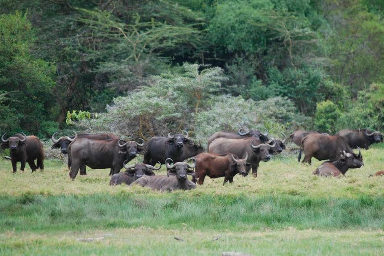 Addis Abeba: wycieczka do kościoła Chebera Churchura i Parku Narodowego MazeAddis Abeba: Wycieczka do kościoła Chebera Churchura i Parku Narodowego Maze
